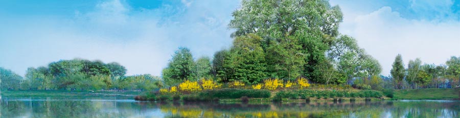 Les cours avancés de Méditation TRanscendantale